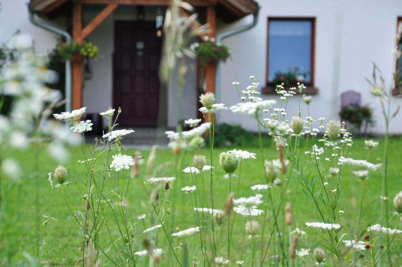 Domek Na Warmii Holiday home Olsztyn (Warmian-Masurian)
